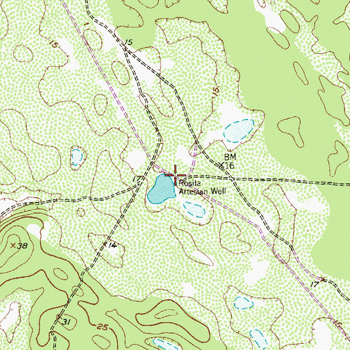 Topographic Map of Rosita Artesian Well, TX