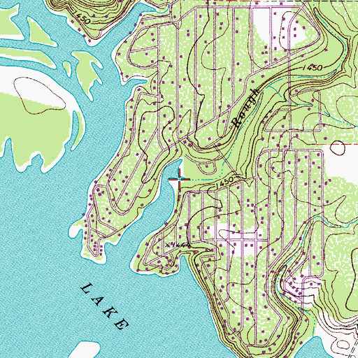Topographic Map of Rough Branch, TX