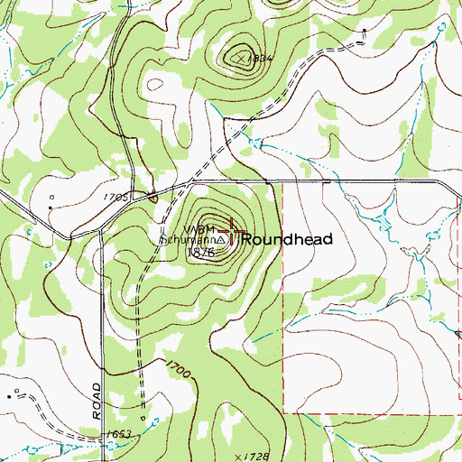 Topographic Map of Roundhead, TX