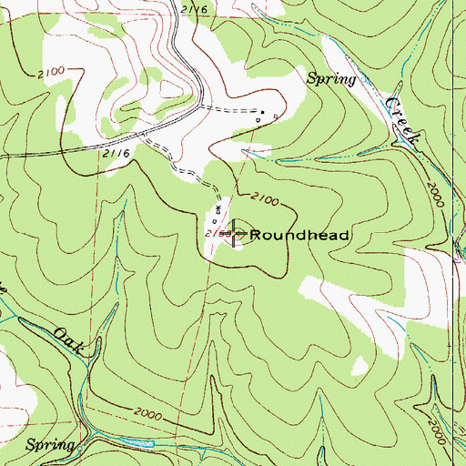 Topographic Map of Roundhead, TX