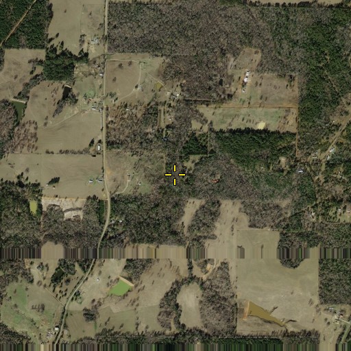 Aerial/Satellite Image of Rowe Branch, TX