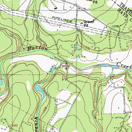 Topographic Map of Roy Branch, TX