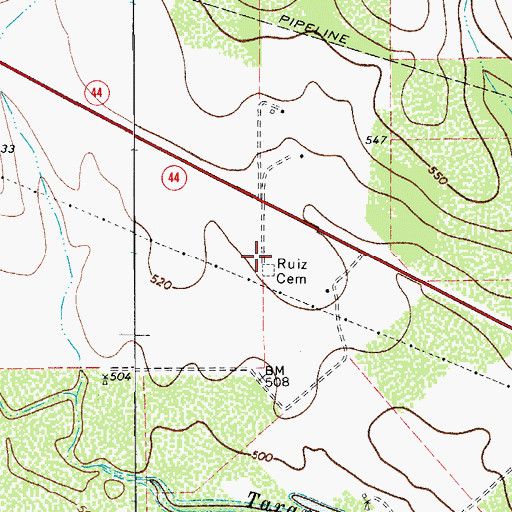 Topographic Map of Ruiz Cemetery, TX