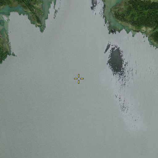 Aerial/Satellite Image of Rush Creek, TX