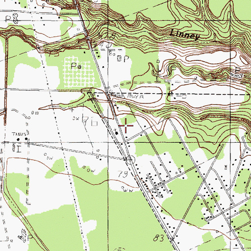 Topographic Map of Calvary Church, TX