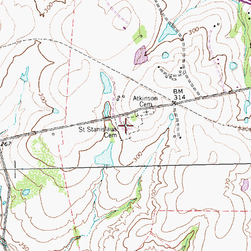 Topographic Map of Saint Stanislaus Cemetery, TX