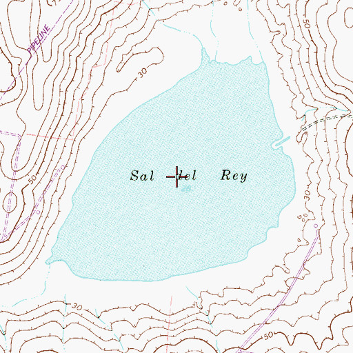 Topographic Map of Sal del Ray, TX