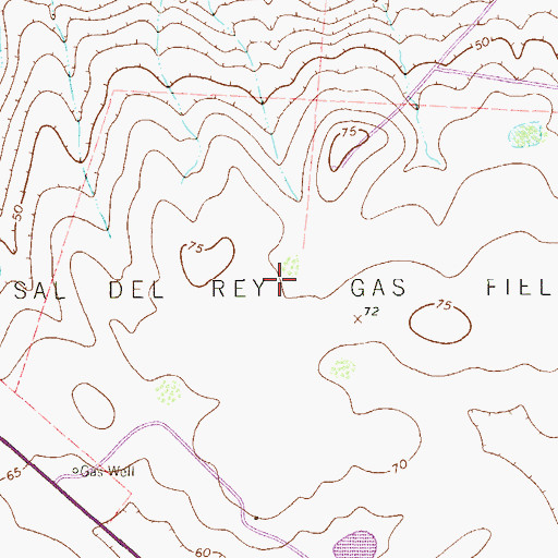 Topographic Map of Sal del Rey Gas Field, TX