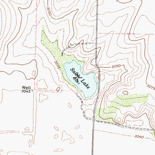 Topographic Map of Saleh Lake, TX