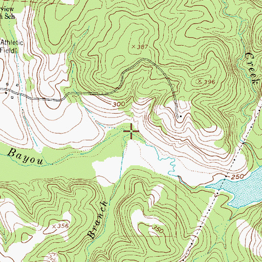 Topographic Map of Salem Branch, TX