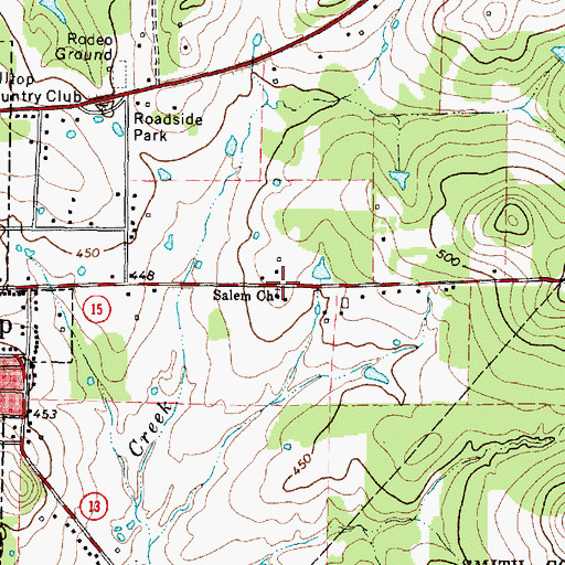 Topographic Map of Salem Church, TX