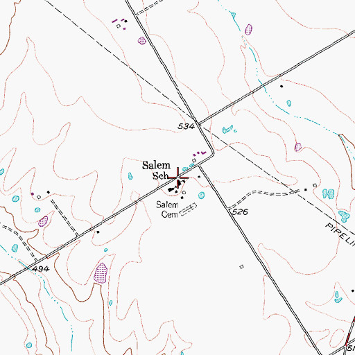 Topographic Map of Salem School, TX