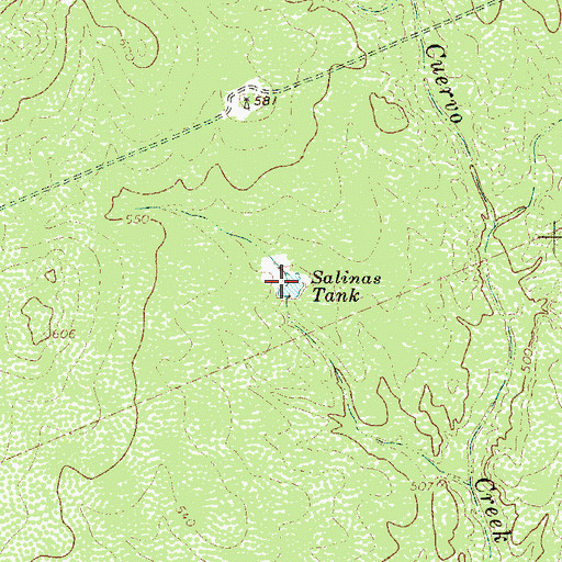 Topographic Map of Salinas Tank, TX