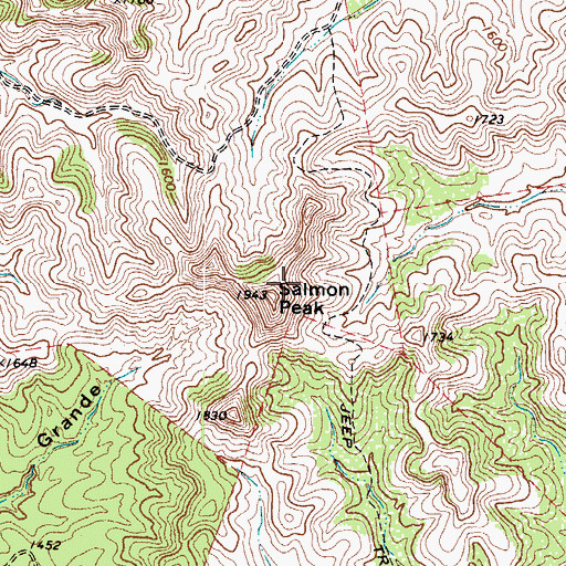 Topographic Map of Salmon Peak, TX