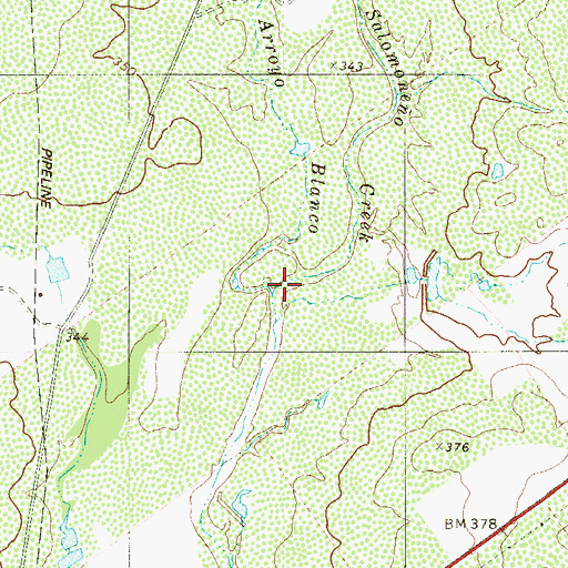Topographic Map of Salmoneno Creek, TX