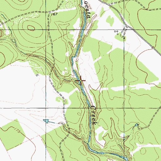 Topographic Map of Salt Branch, TX
