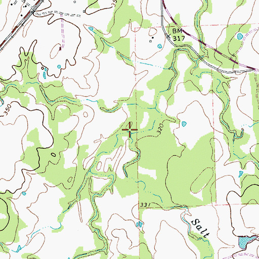 Topographic Map of Salt Branch, TX