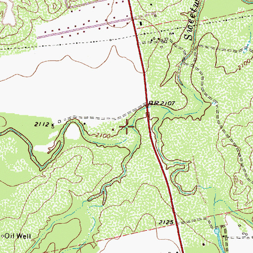 Topographic Map of Salt Branch, TX