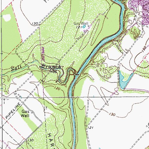 Topographic Map of Salt Branch, TX