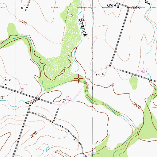 Topographic Map of Salt Branch, TX