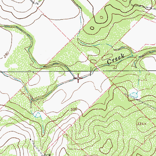 Topographic Map of Salt Branch Ramirena Creek, TX