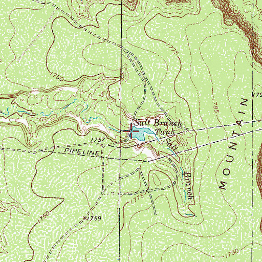 Topographic Map of Salt Branch Tank, TX