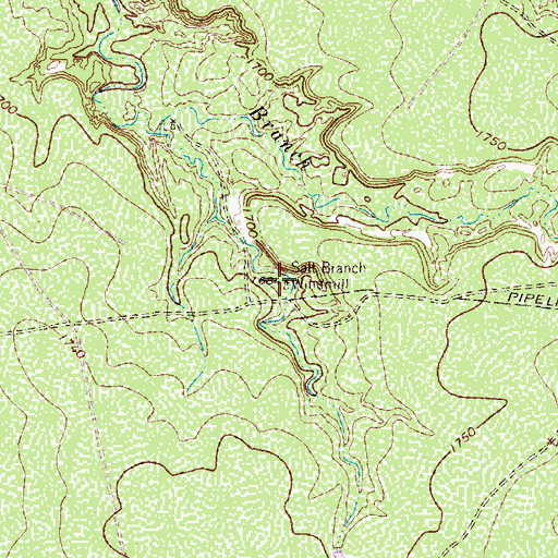 Topographic Map of Salt Branch Windmill, TX