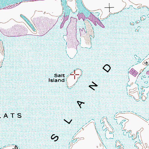 Topographic Map of Salt Island, TX