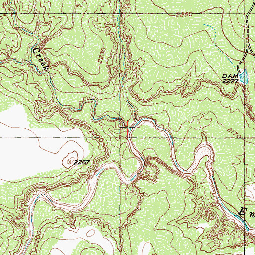 Topographic Map of Salt Springs Creek, TX