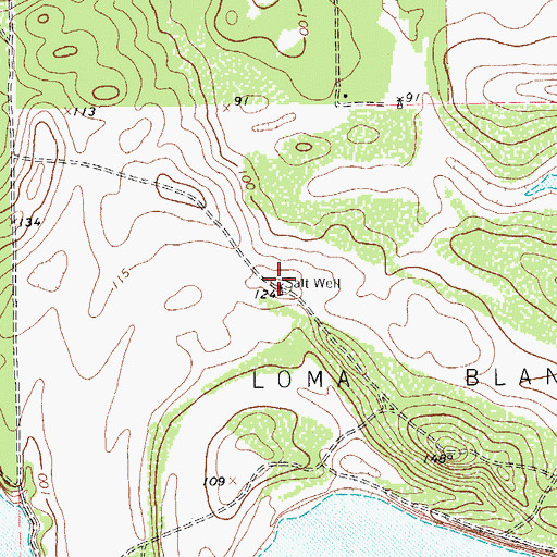 Topographic Map of Salt Well, TX