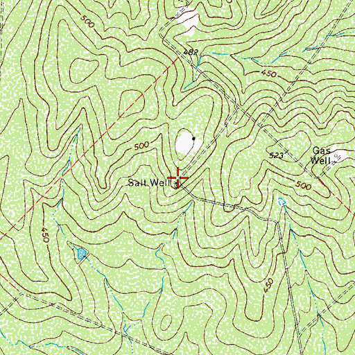 Topographic Map of Salt Well, TX