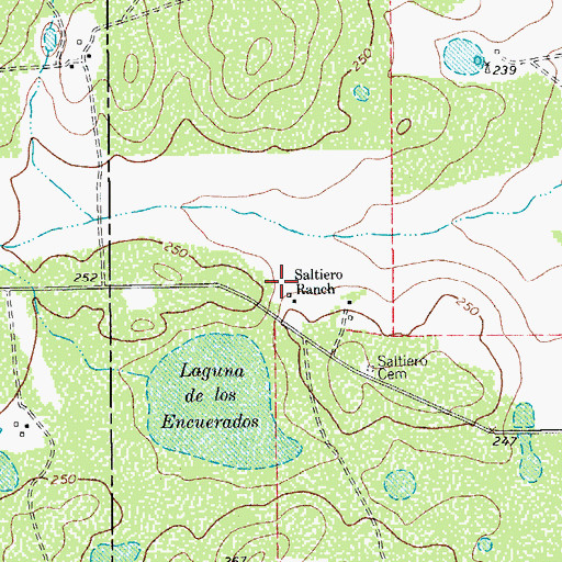 Topographic Map of Saltiero Ranch, TX
