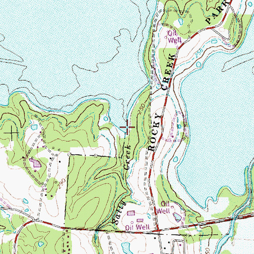 Topographic Map of Salty Creek, TX
