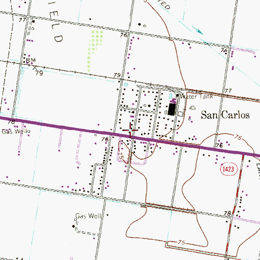 Topographic Map of San Carlos, TX