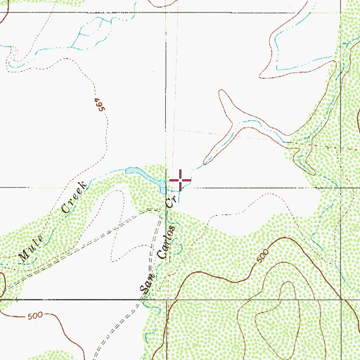 Topographic Map of San Carlos Creek, TX