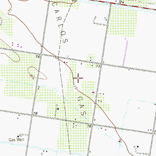 Topographic Map of San Carlos Gas Field, TX