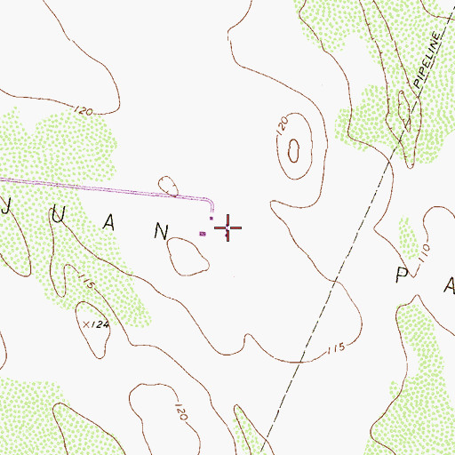Topographic Map of San Juan Pasture, TX
