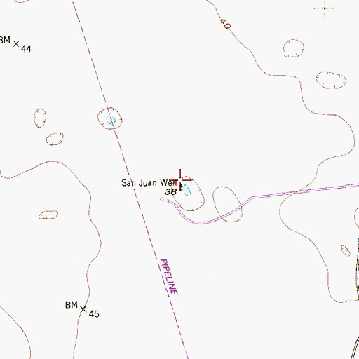 Topographic Map of San Juan Well, TX