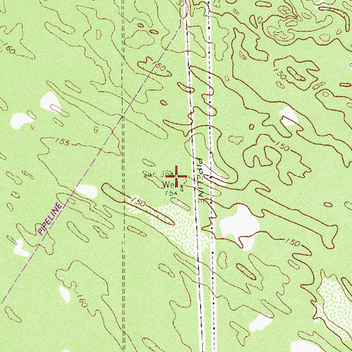 Topographic Map of San Juan Well, TX