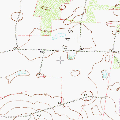 Topographic Map of San Manuel Gas Field, TX