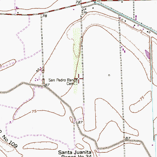 Topographic Map of San Pedro Ranch Cemetery, TX