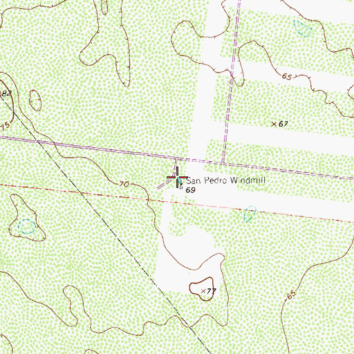 Topographic Map of San Pedro Windmill, TX