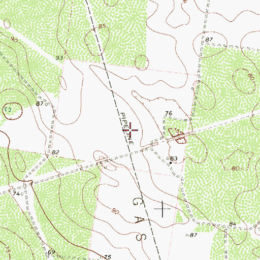 Topographic Map of San Salvador Gas Field, TX