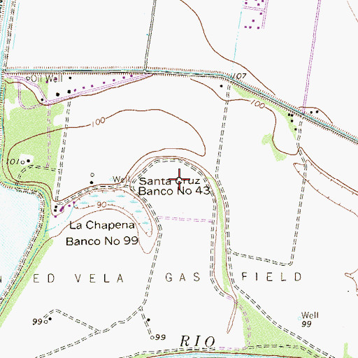 Topographic Map of Santa Cruz Banco Number 43, TX