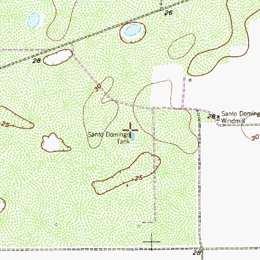Topographic Map of Santo Domingo Tank, TX