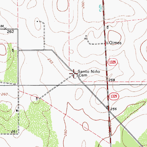 Topographic Map of Santo Nio Cemetery, TX