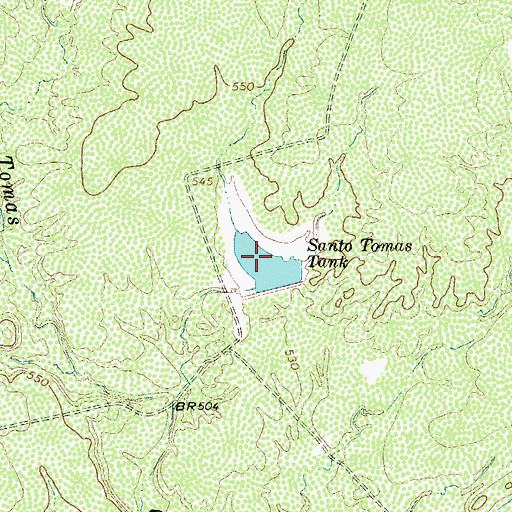 Topographic Map of Santo Tomas Tank, TX