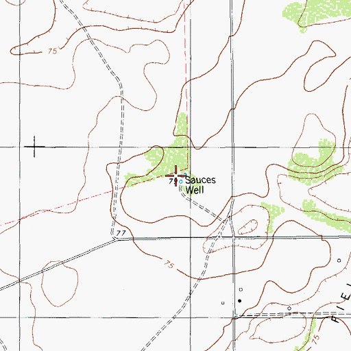 Topographic Map of Sauces Well, TX
