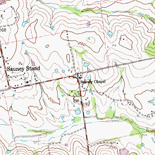 Topographic Map of Sauney Chapel, TX