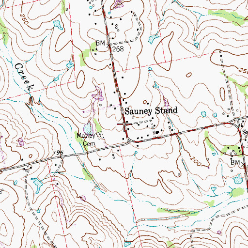 Topographic Map of Sauney Stand, TX